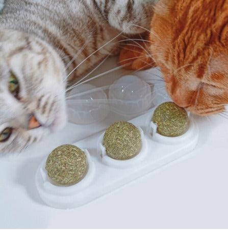 Bola de Hierba Gatera Natural para Mascotas