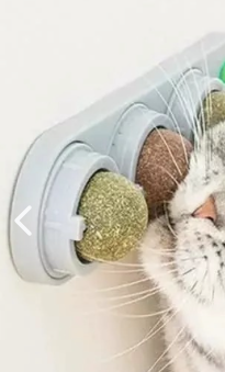 Bola de Hierba Gatera Natural para Mascotas